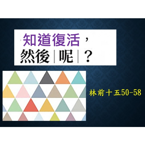 螢幕擷取畫面 2024-05-04 151835.jpg