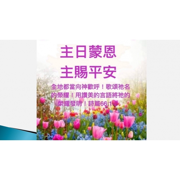 螢幕擷取畫面 2024-10-04 103245.jpg