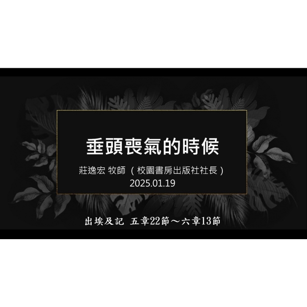 螢幕擷取畫面 2025-02-11 100159.jpg