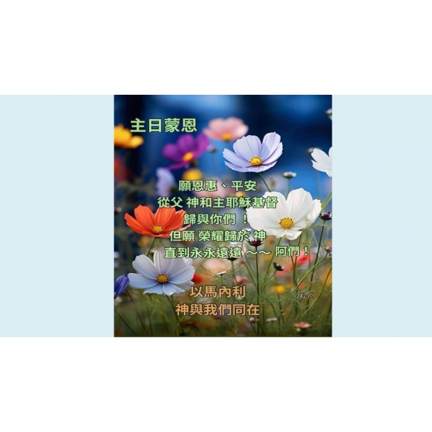 螢幕擷取畫面 2025-03-23 130902.jpg