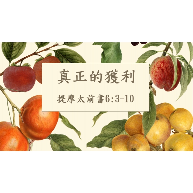 螢幕擷取畫面 2025-12-12 085441.jpg