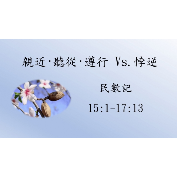 螢幕擷取畫面 2026-03-06 141934.jpg