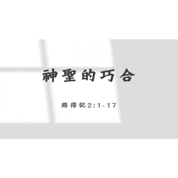 螢幕擷取畫面 2026-05-21 142709.jpg